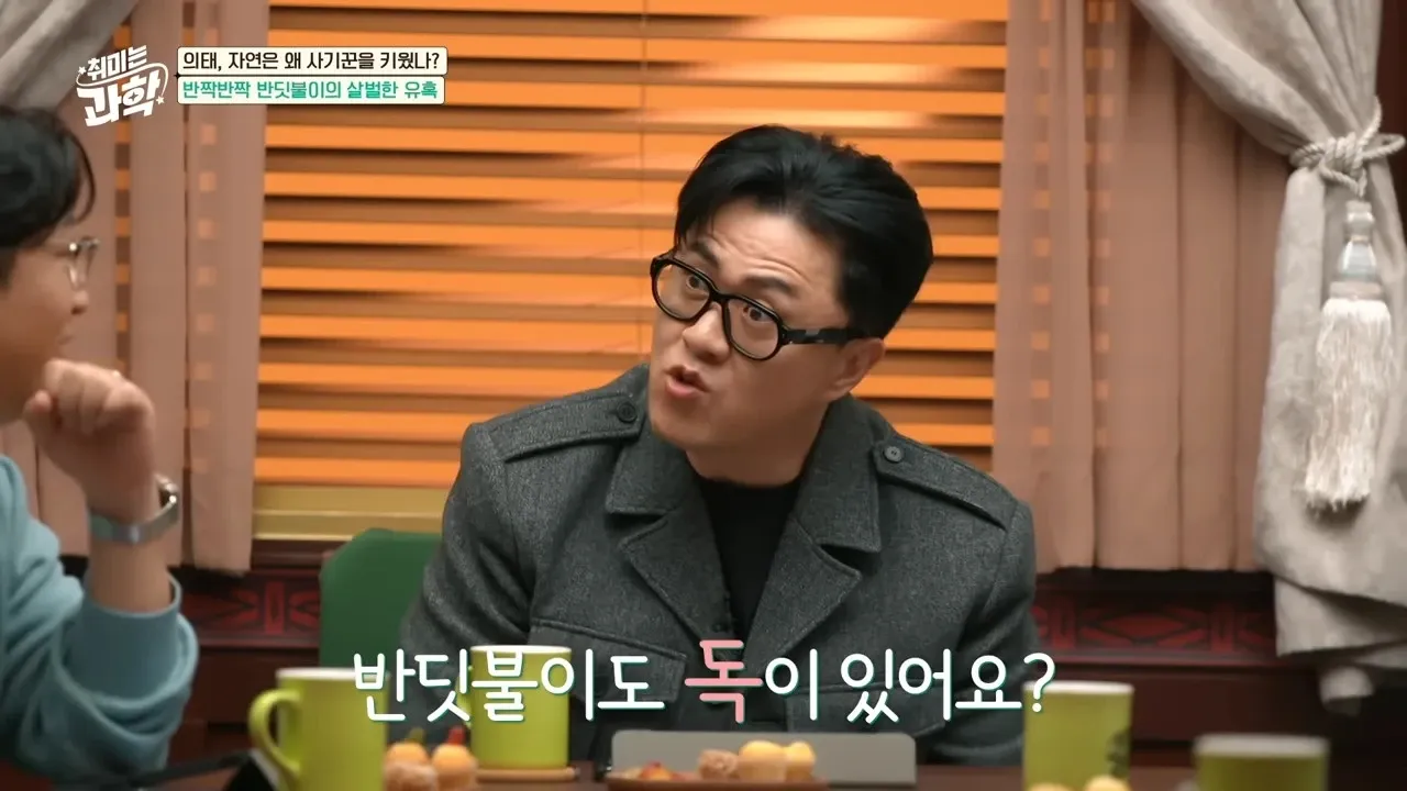 반딧불이의 의태와 독에 관한 자연 다큐멘터리 썸네일