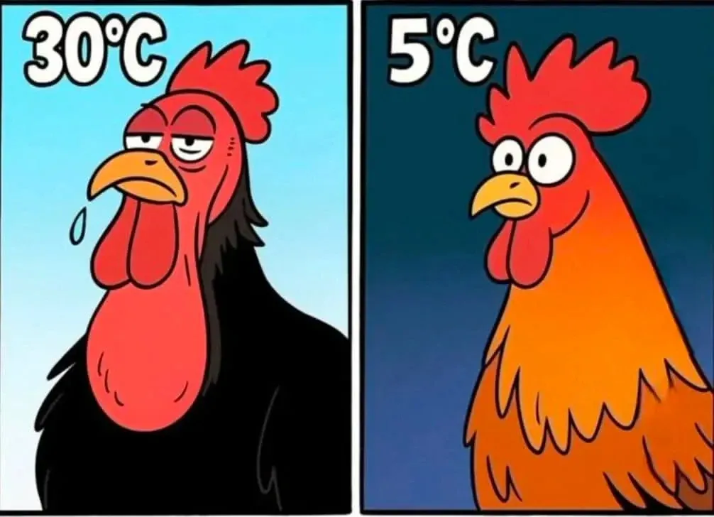 여름 30도와 겨울 5도에서 남자의 옷차림 비교