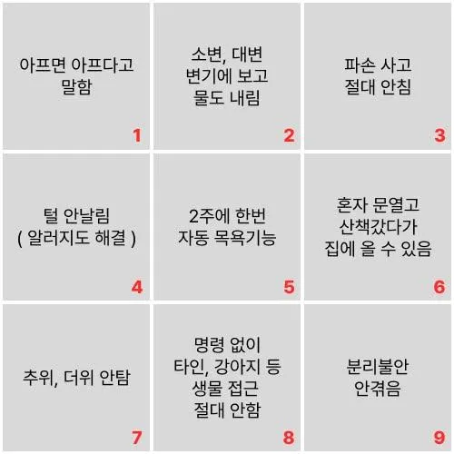 강아지에게 줄 수 있는 능력 목록: 아프면 말하기, 배변 처리, 자동 목욕, 혼자 산책 등