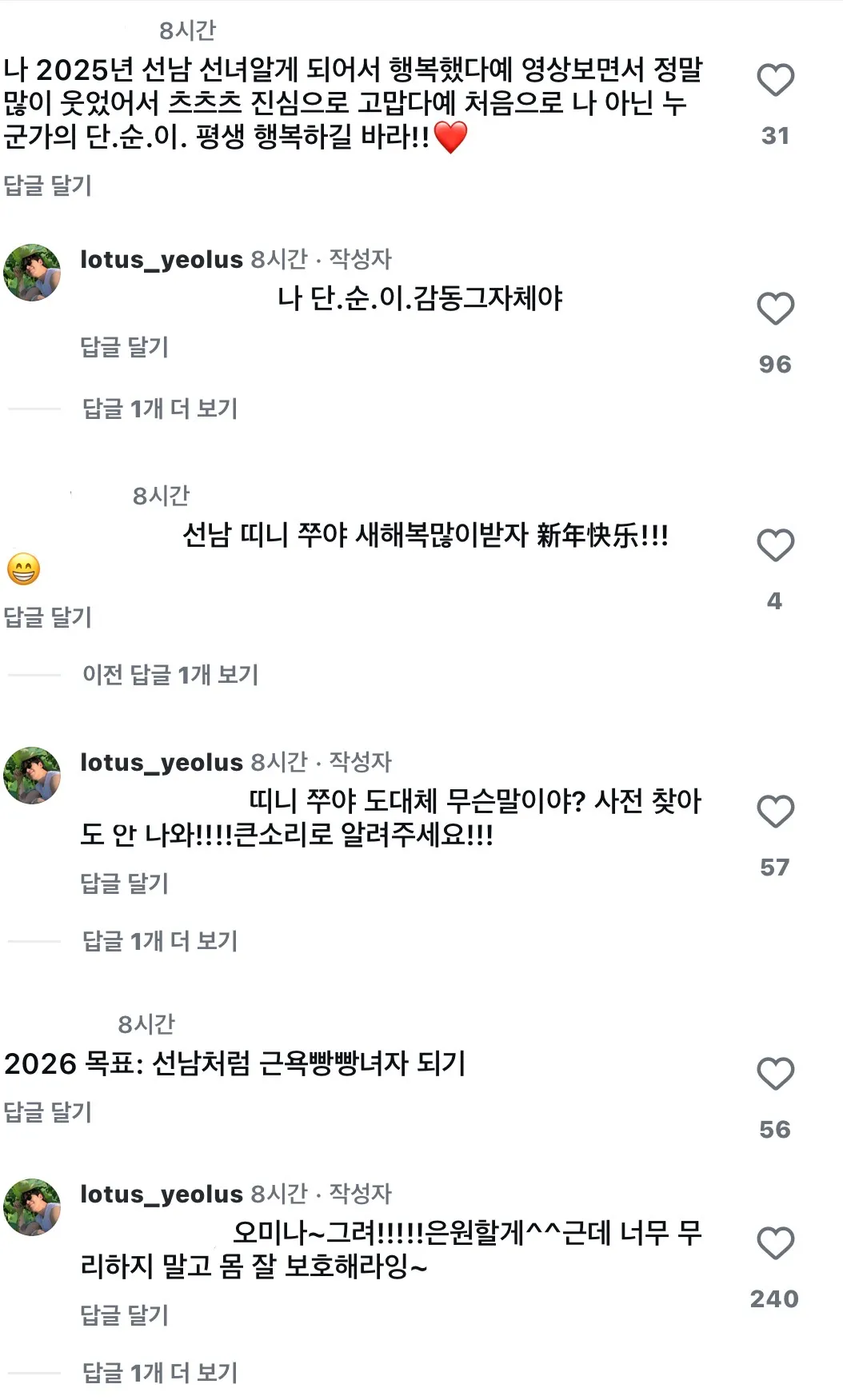 한중커플 팬들의 새해 응원 댓글 모음, 중국어 신년 인사와 2026년 목표 포함