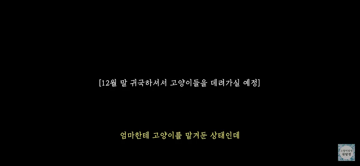 딸이 해외 출장 중 엄마에게 맡긴 고양이를 엄마가 버린 상황을 설명하는 텍스트