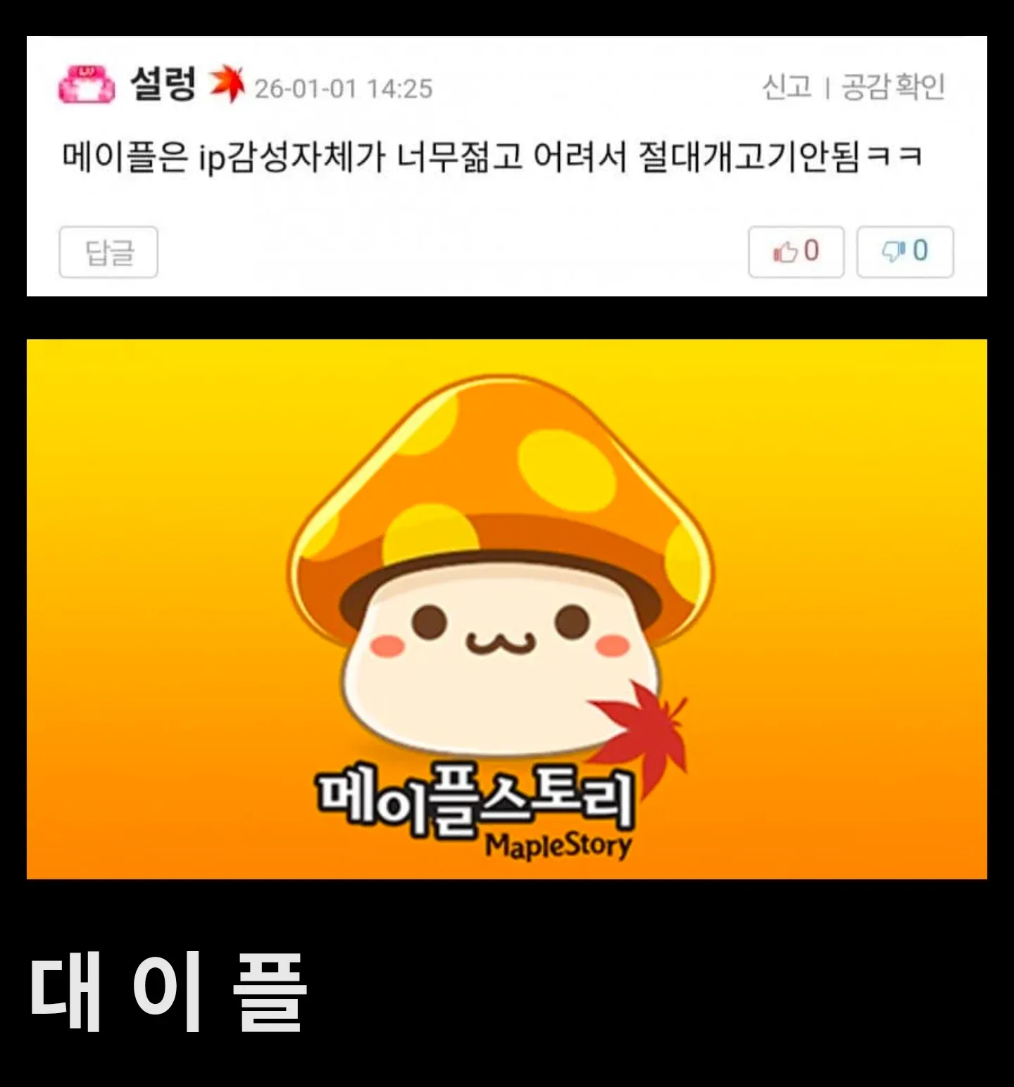 메이플스토리 IP 감성이 젊고 어려서 성인 콘텐츠 안 된다는 게임 커뮤니티 댓글