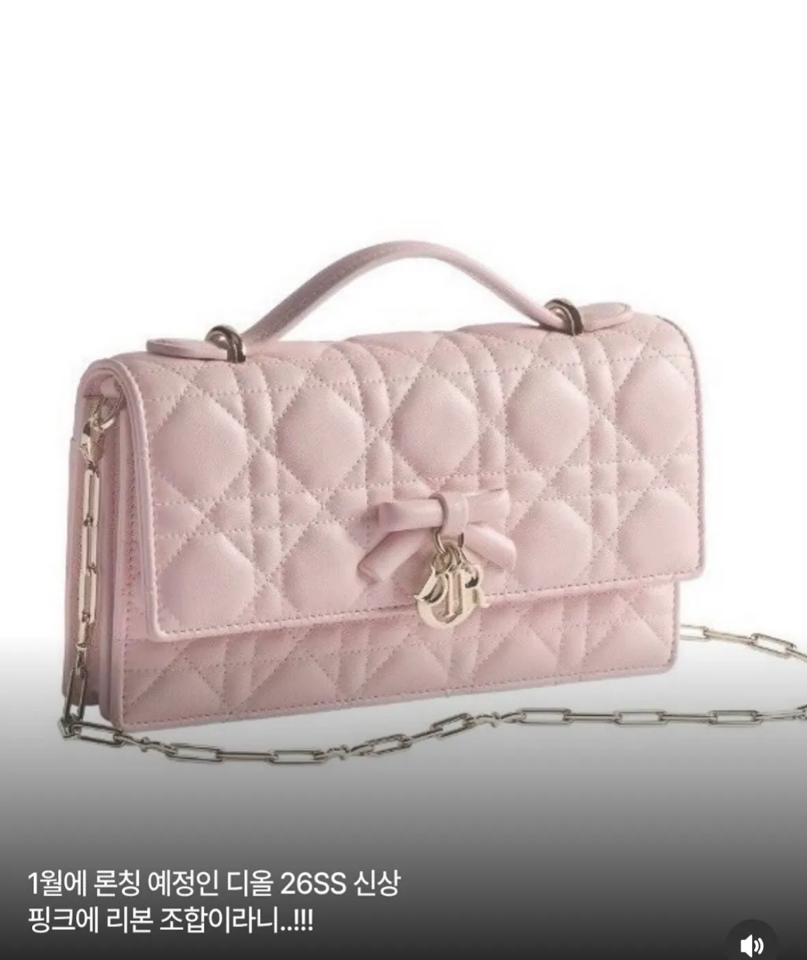 디올 26SS 신상 핑크 리본 주얼리 제품 이미지