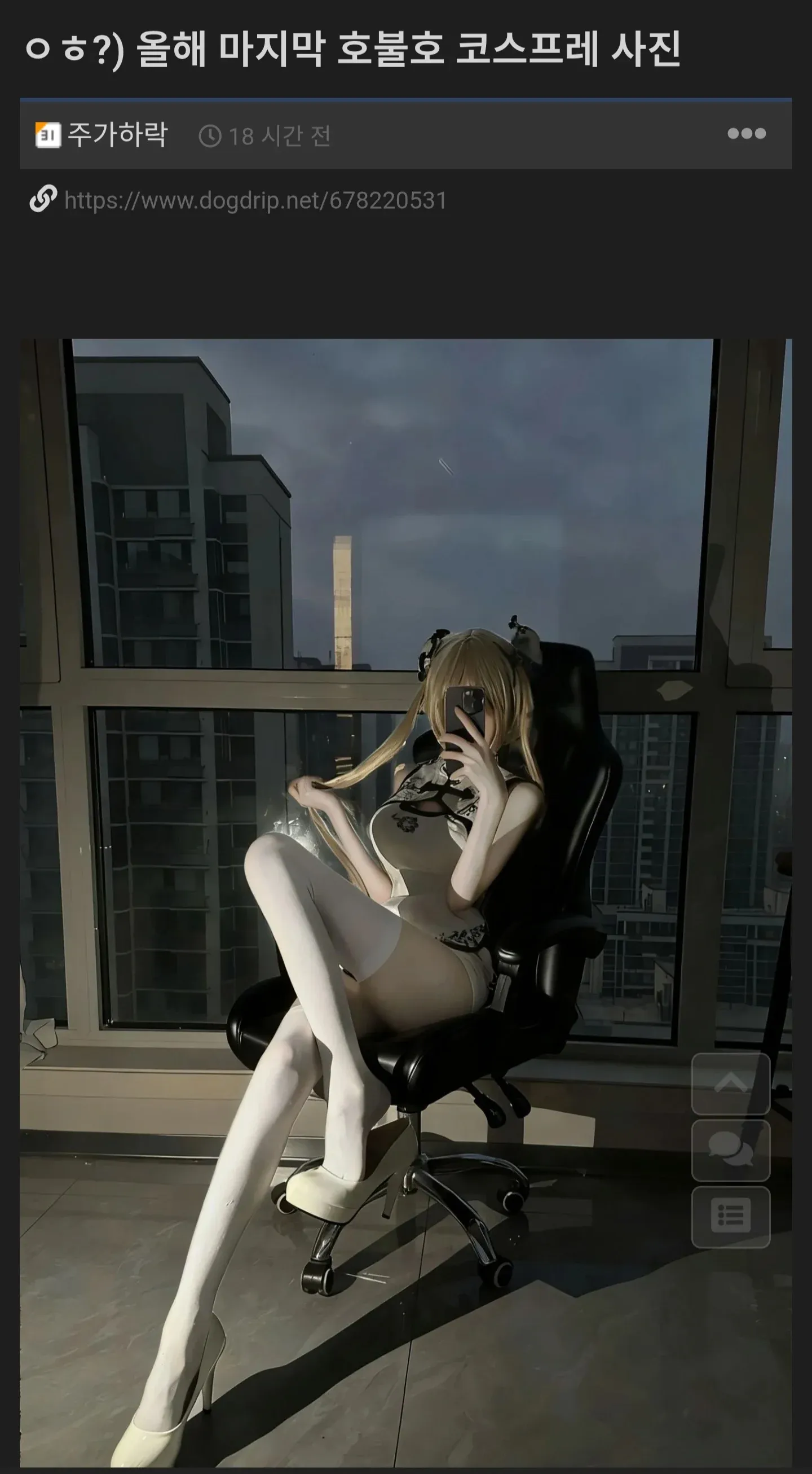 올해 마지막 호불호 코스프레 사진 게시글 썸네일