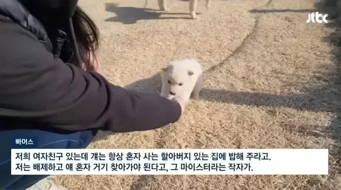 귀농유튜버 마이스터 관련 자막 캡처 화면