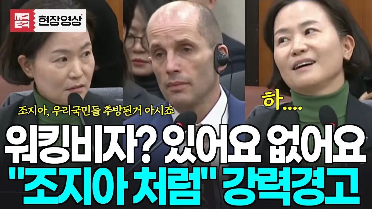 조지아 추방 경고와 워킹비자 관련 자막이 있는 방송 화면