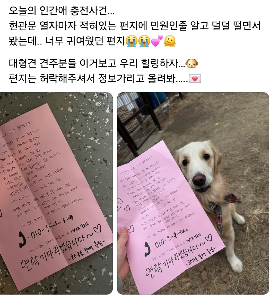 이웃이 대형견에게 보낸 귀여운 손편지 사진