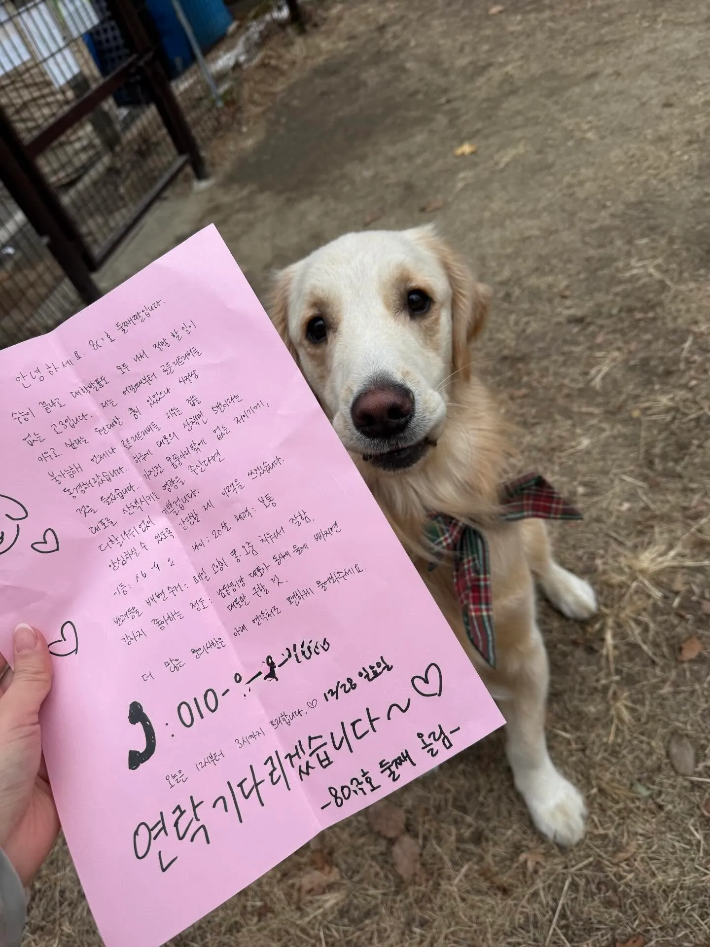 이웃집 강아지 산책 친구를 구하는 손글씨 편지