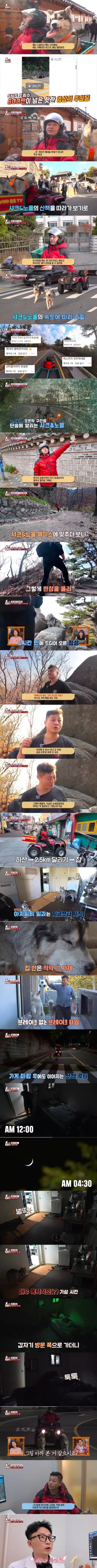 시베리안 허스키가 두 발로 서있는 훈련 자세를 보여주는 모습