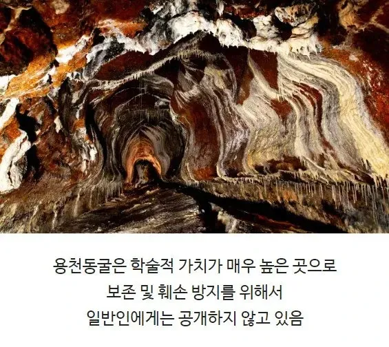 용천동굴 학술적 가치로 일반인 비공개 안내문