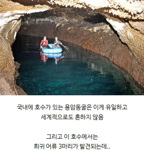용암동굴 내부 호수와 희귀 어류가 서식하는 국내 유일 동굴 풍경