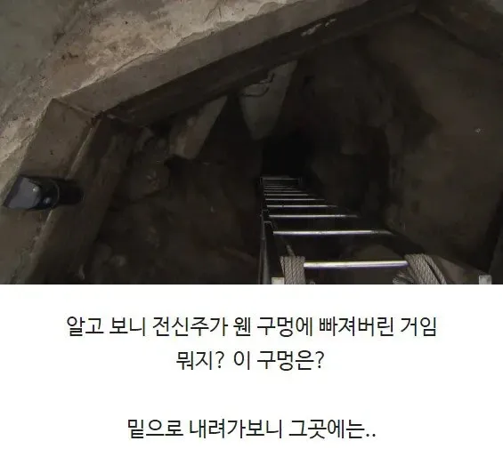 전신주가 빠진 구멍 아래 발견된 동굴 입구 장면