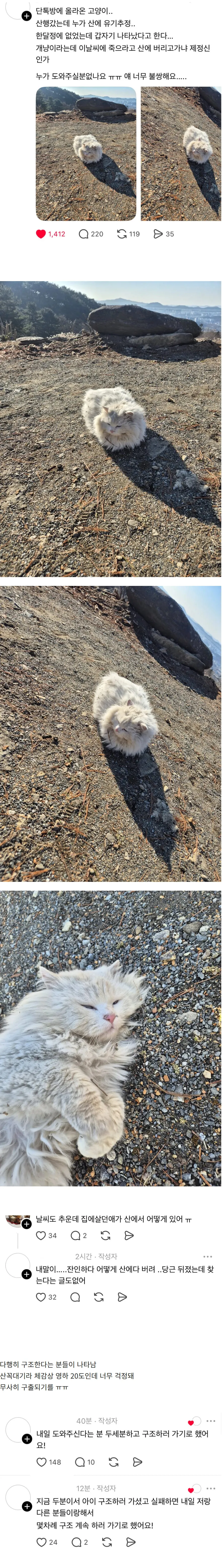 머리에 참치캔이 끼인 채 발견된 길고양이, 병원에서 마취 후 구조됨