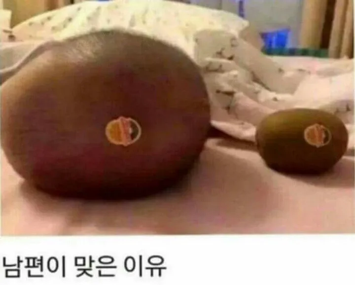 남편이 맞은 이유라는 텍스트가 적힌 이미지