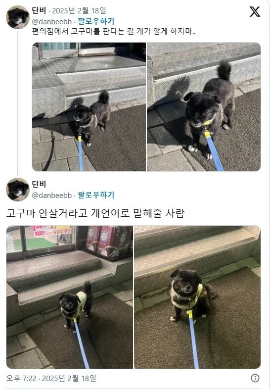 고구마 좋아하는 강아지에게 편의점 고구마 판매 비밀 지키자는 유머 글