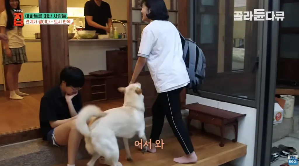 40대 아빠가 아파트를 떠나 도시 한옥으로 이사한 이야기를 담은 영상 썸네일