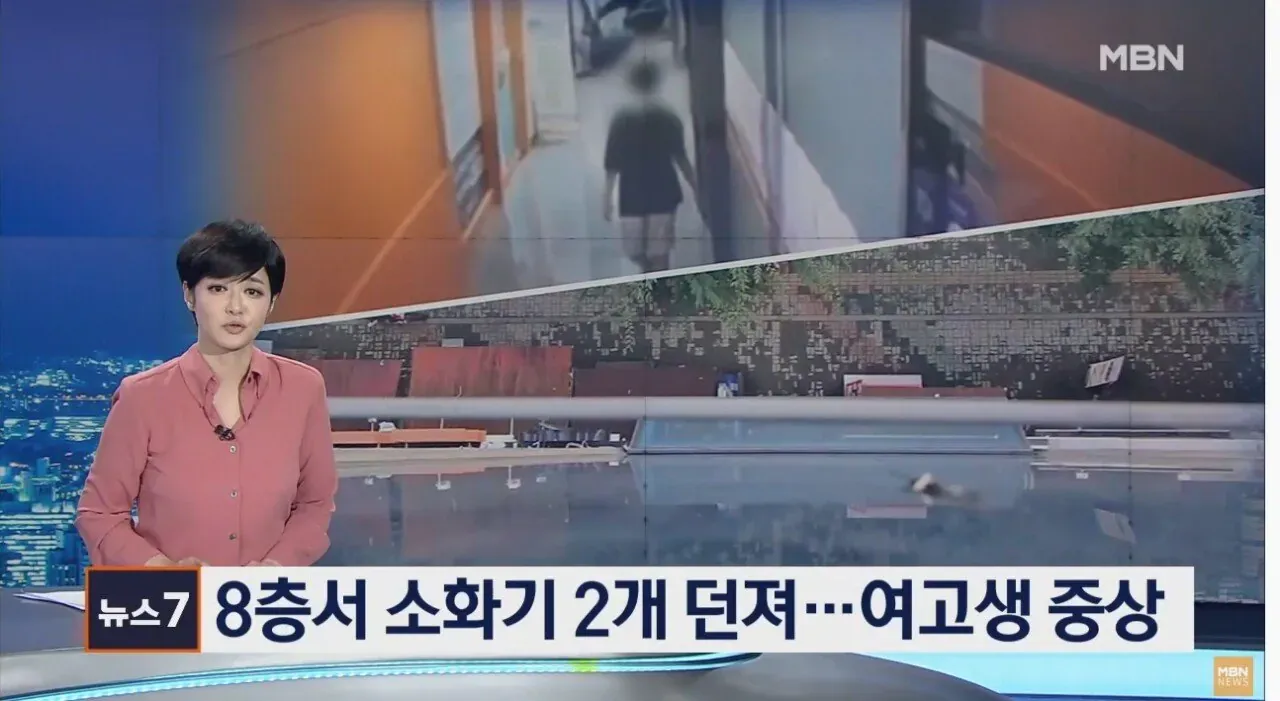 8층에서 던져진 소화기에 맞아 중상을 입은 여고생 관련 뉴스 기사 제목