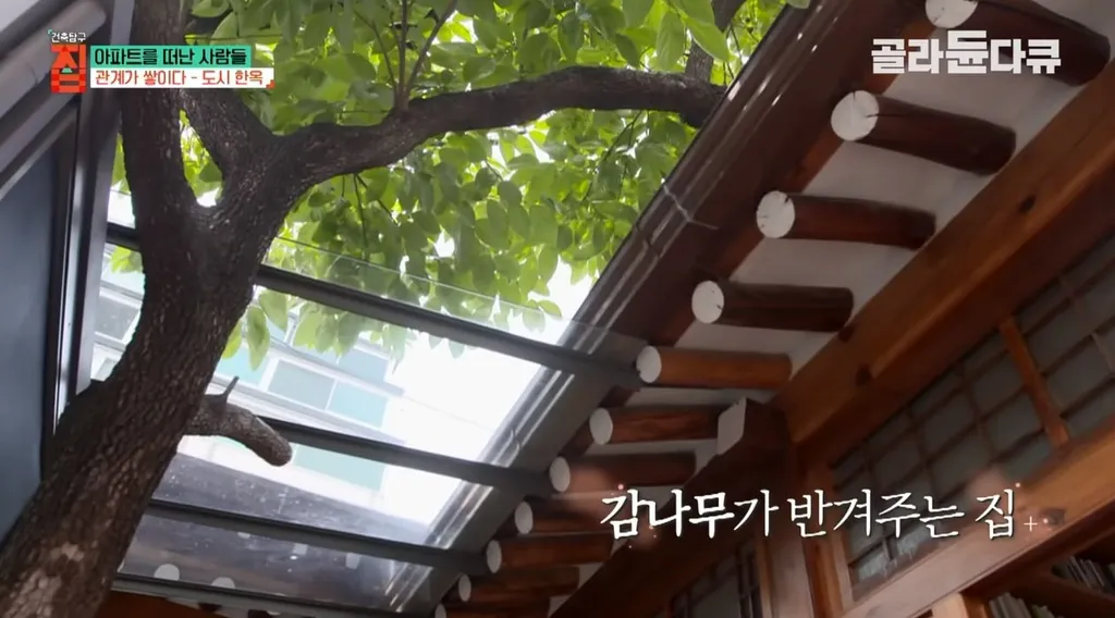 도시 한옥 리모델링 홍보 이미지, 감나무와 관계 형성을 강조한 텍스트