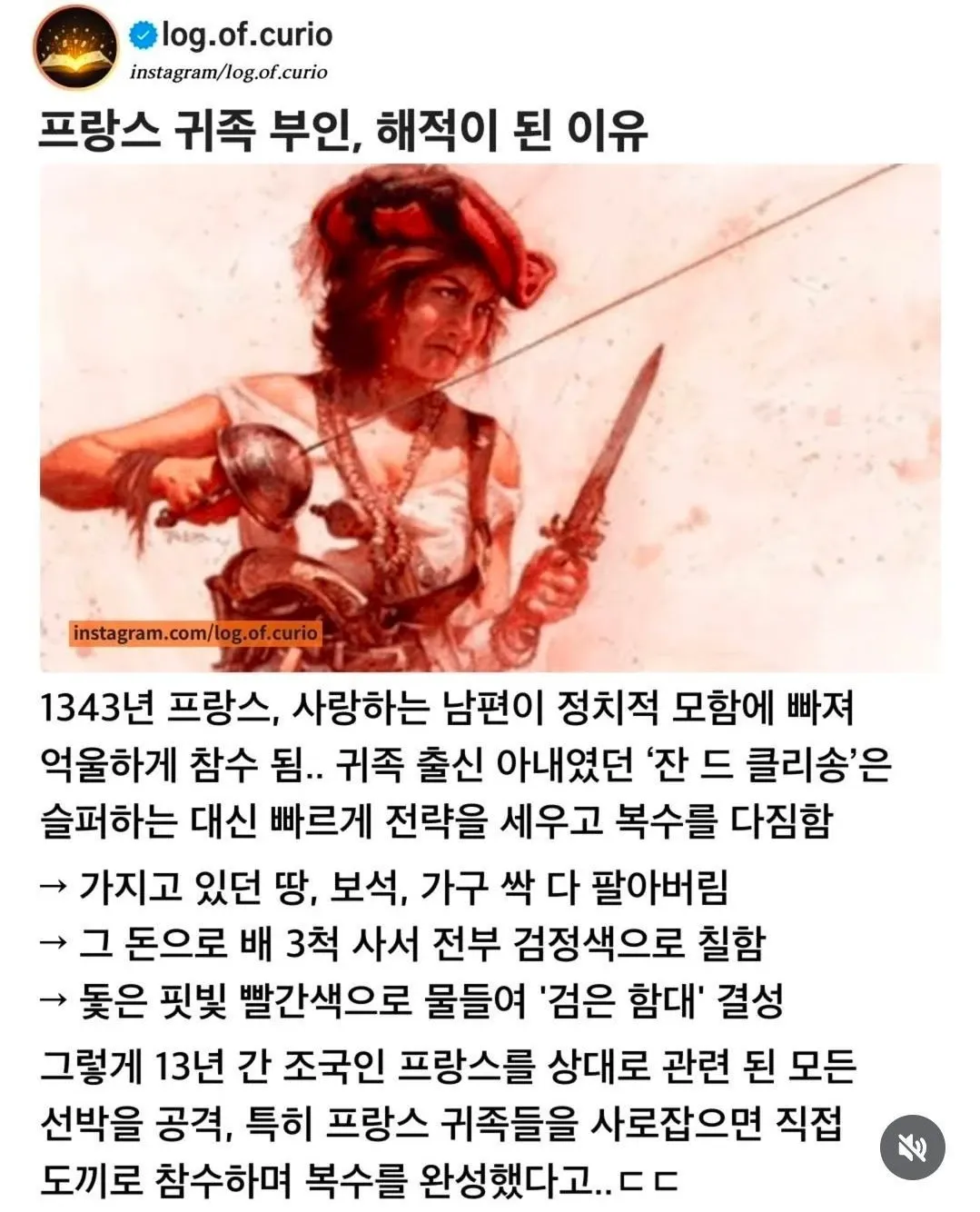 프랑스 귀족 부인 잔 드 클리송이 검은 함대를 이끌고 복수하는 이야기