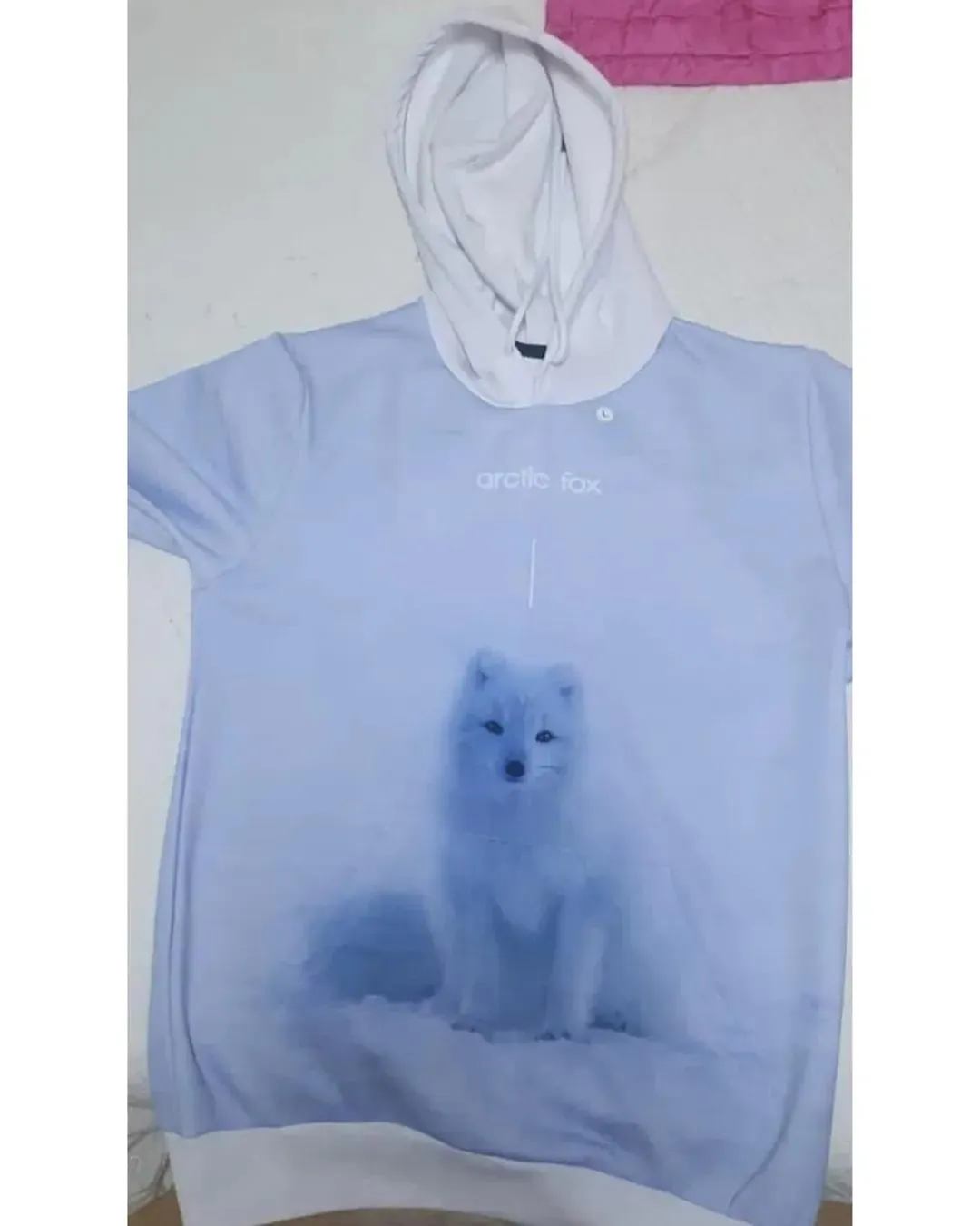 북극여우가 정면을 바라보는 모습