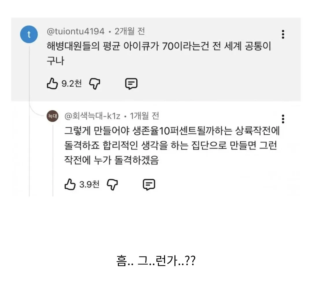 해병대원 IQ 밈에 대한 상륙작전 생존율 관련 유머 댓글 캡처
