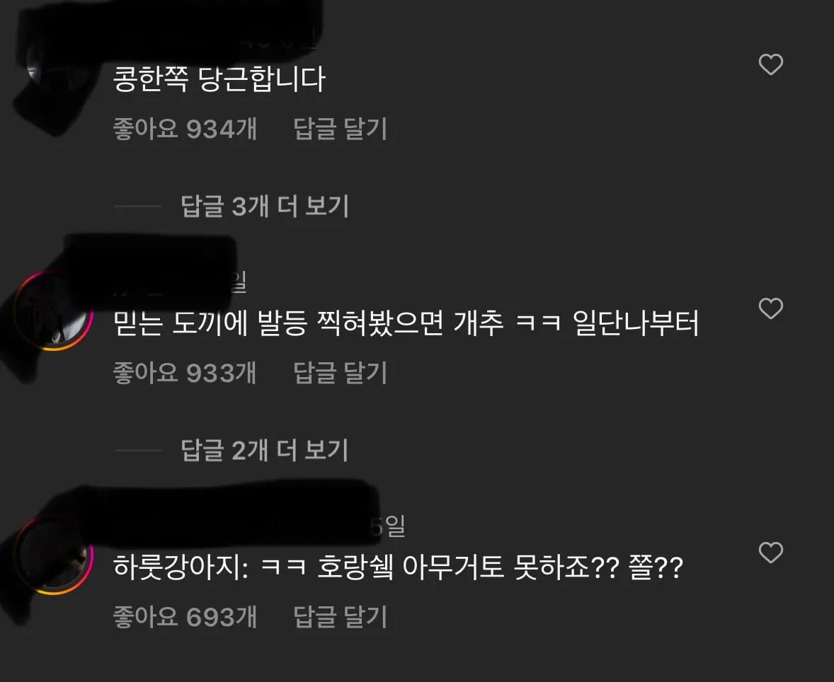 속담을 저급하게 패러디한 텍스트가 적힌 짤방 이미지