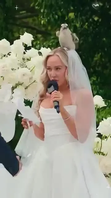 자연 속에서 진행되는 야외 결혼식 장면