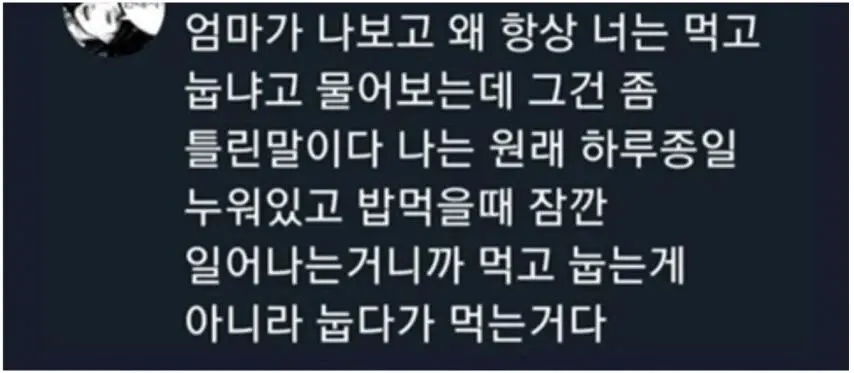 엄마의 잔소리에 먹고 눕는 게 아니라 눕다가 먹는 거라고 반박하는 유머 글