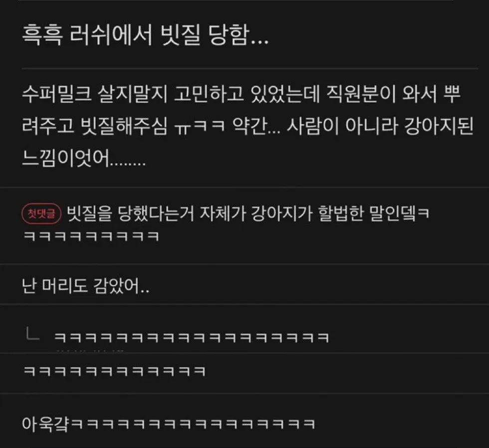 러쉬 매장에서 직원에게 수퍼밀크 뿌리고 빗질 받은 후기 텍스트