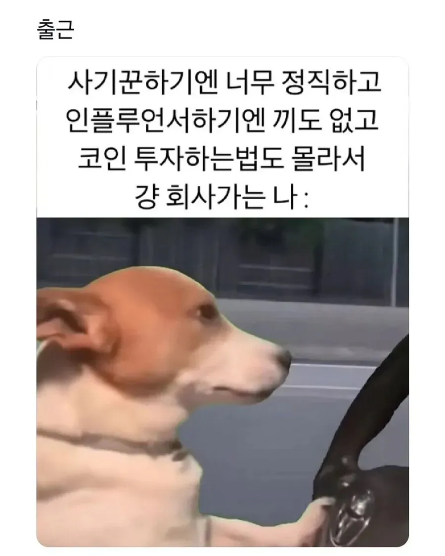 출근하는 자신을 자조적으로 표현한 직장인 공감 텍스트 이미지