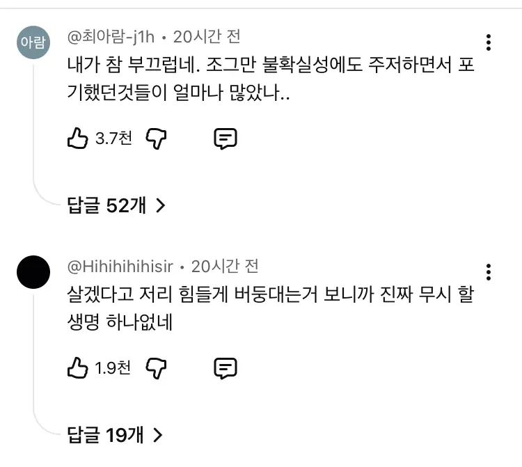 물 없는 마른 땅 위를 힘겹게 기어가는 메기