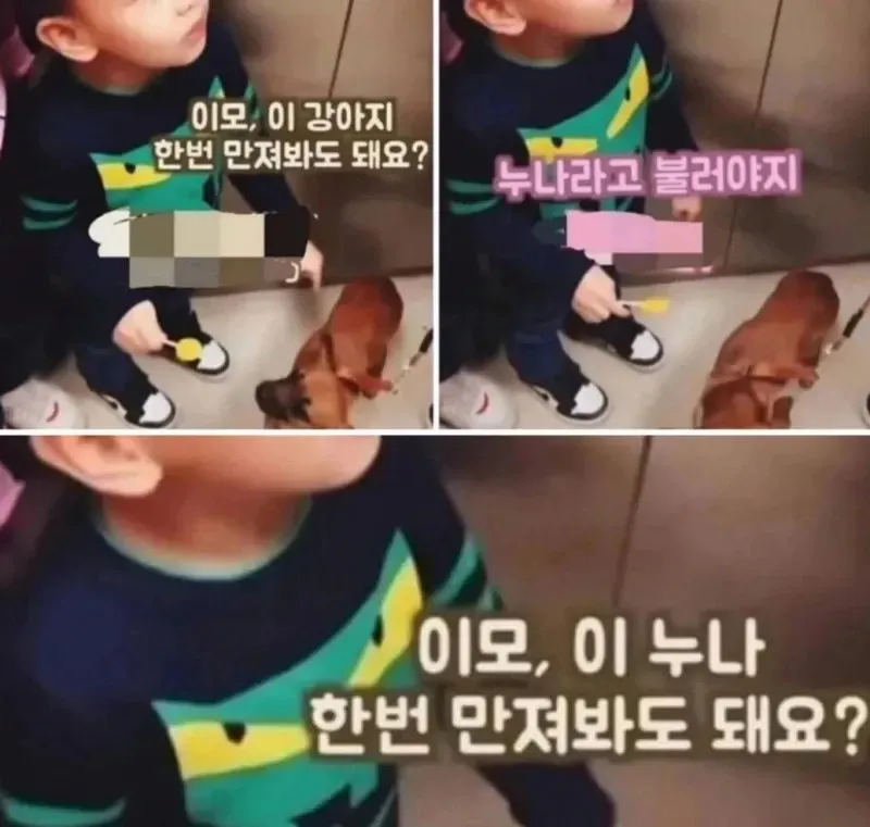 강아지를 만지고 싶다는 아이에게 이모 대신 누나라고 부르라고 정정하는 유머 짤