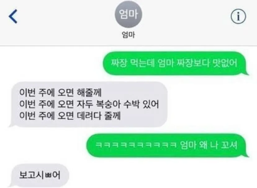엄마와의 카톡 대화, 이번 주 오면 해줄게라며 꼬시는 엄마
