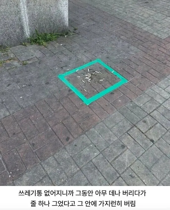 흡연자들이 바닥에 그은 줄 안에 담배꽁초를 가지런히 버린 사회실험 사진