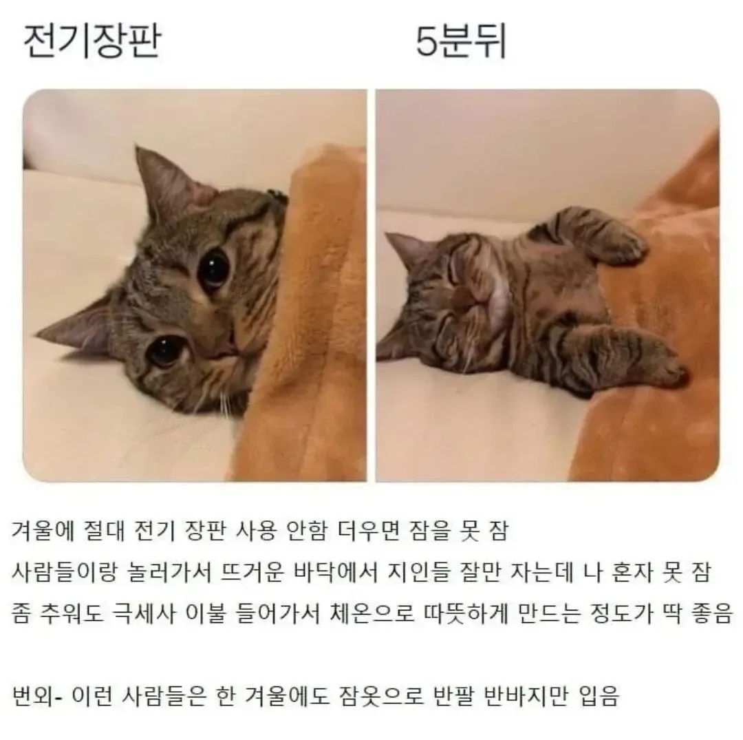 겨울에도 전기장판 없이 체온으로만 자는 열 많은 사람 특징 설명 이미지
