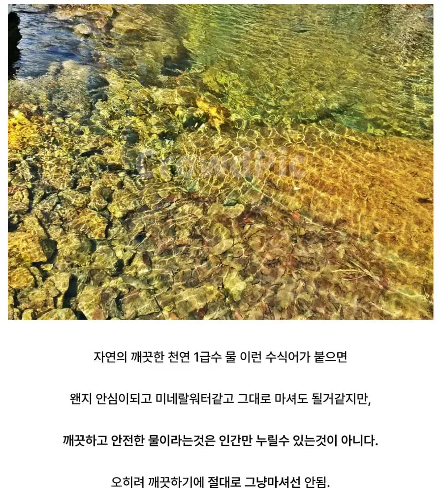 1급수 물을 그냥 마시면 안 되는 이유를 설명하는 텍스트 이미지
