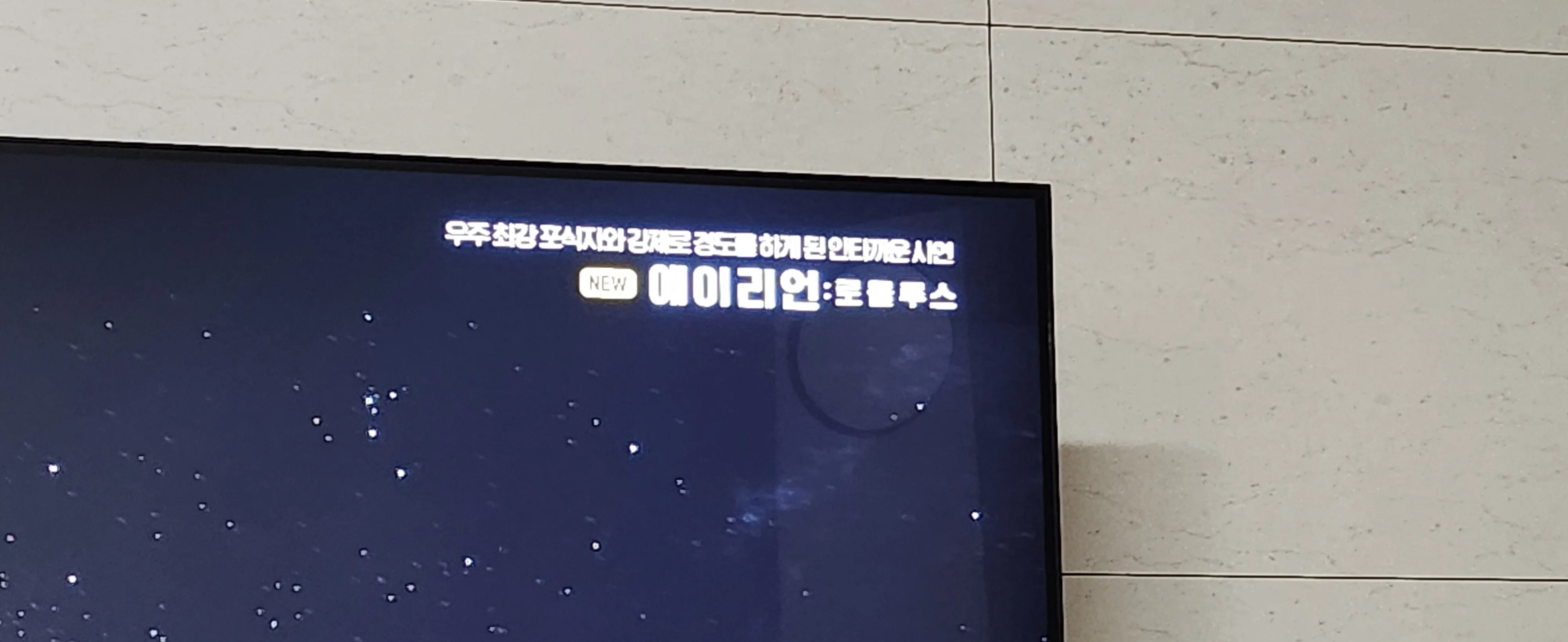 에이리언 로물루스 영화 포스터, 우주 포식자와 안드로메다 시민의 강제 경쟁 홍보 문구