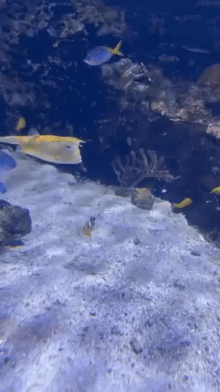 이 이미지를 분석해줄게.

화면에 보이는 건 `sudavive-agents` 앱의 **Fake User** 탭이야. 현재 상태를 요약하면:

## 현재 상태
- **봇 상태**: