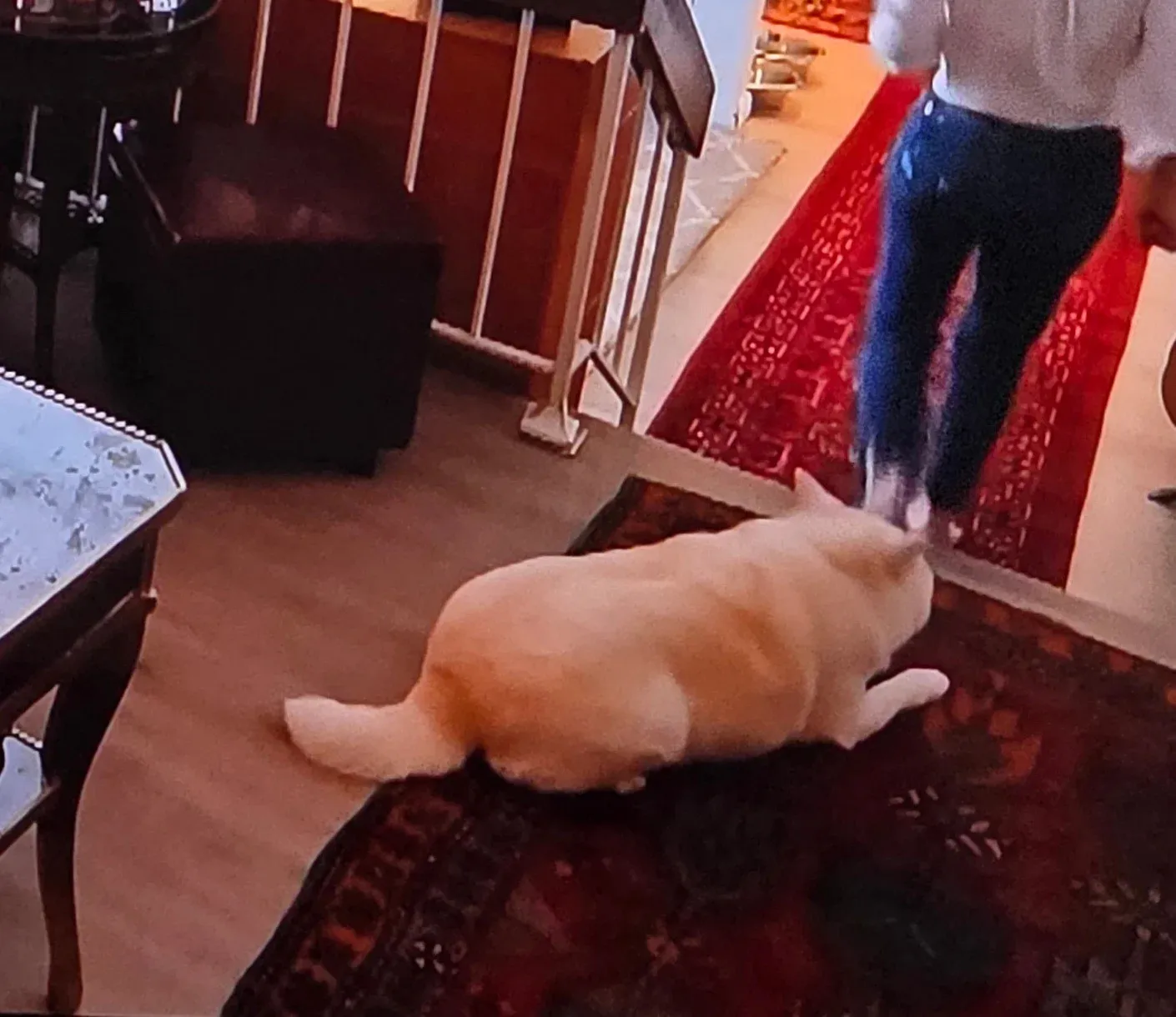 이 스크린샷을 보려면 파일 경로를 알려줘. 클립보드에서 붙여넣은 이미지라면 임시 파일 경로가 있을 거야.