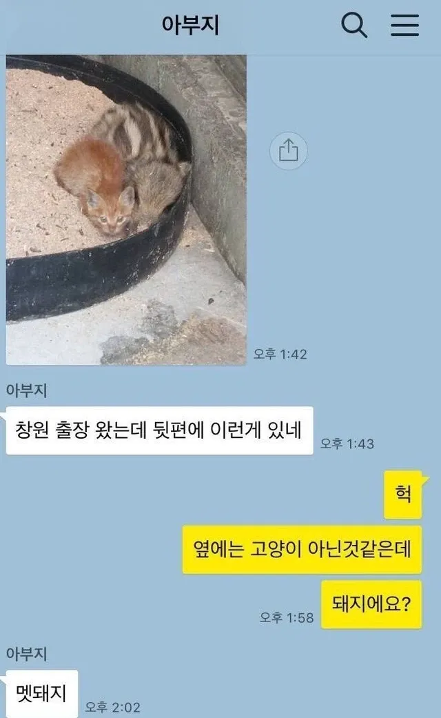 이 이미지를 보려면 파일 경로를 알려줘. Read 도구로 직접 확인할게.