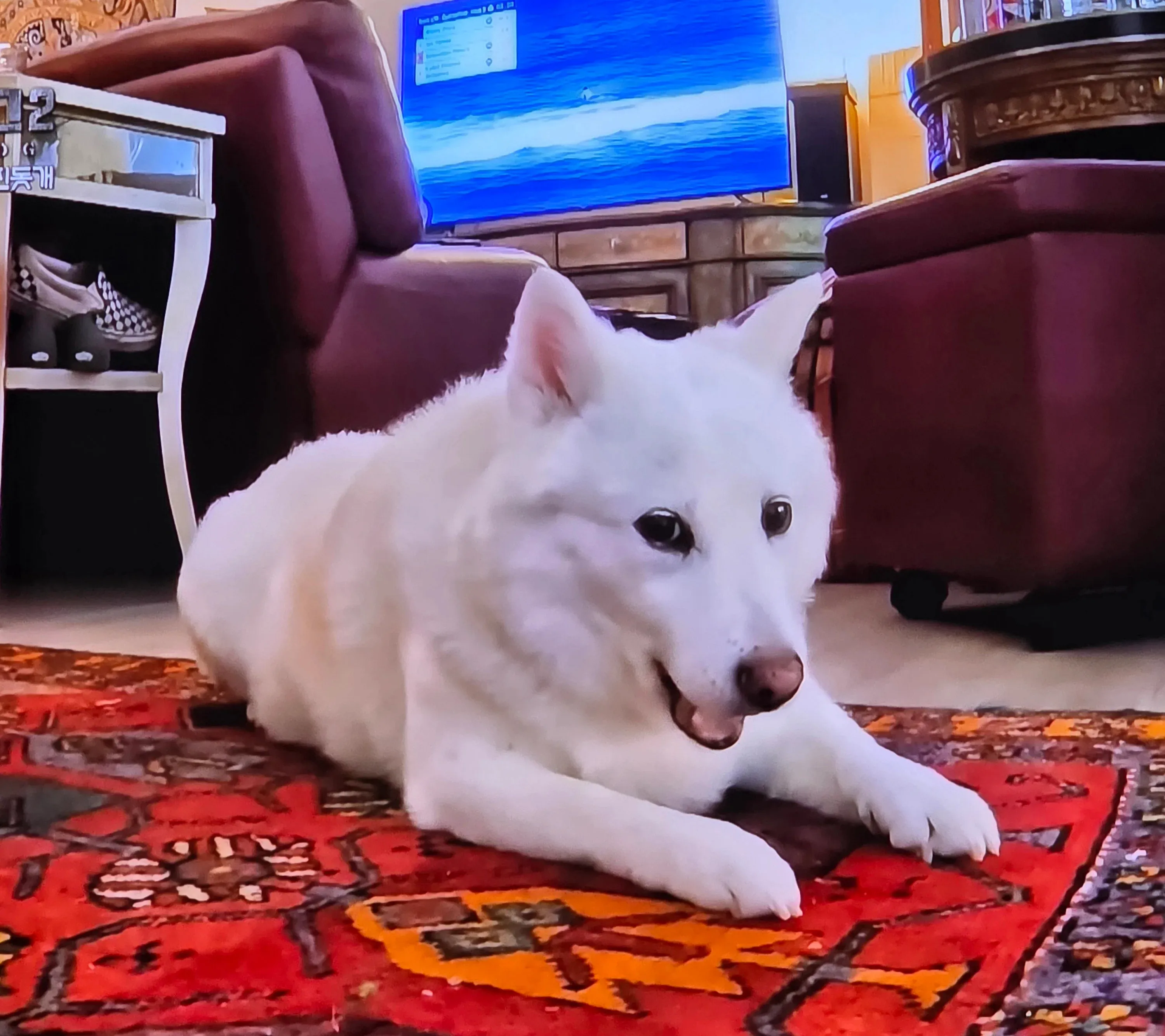 이 이미지는 Windows 앱의 "Fake User" 탭 화면이야. 현재 상태를 보면:

**상단 통계:**
- 페르소나: 5명
- 오늘 활동: 0건
- 총 활동: 49건
- 다음