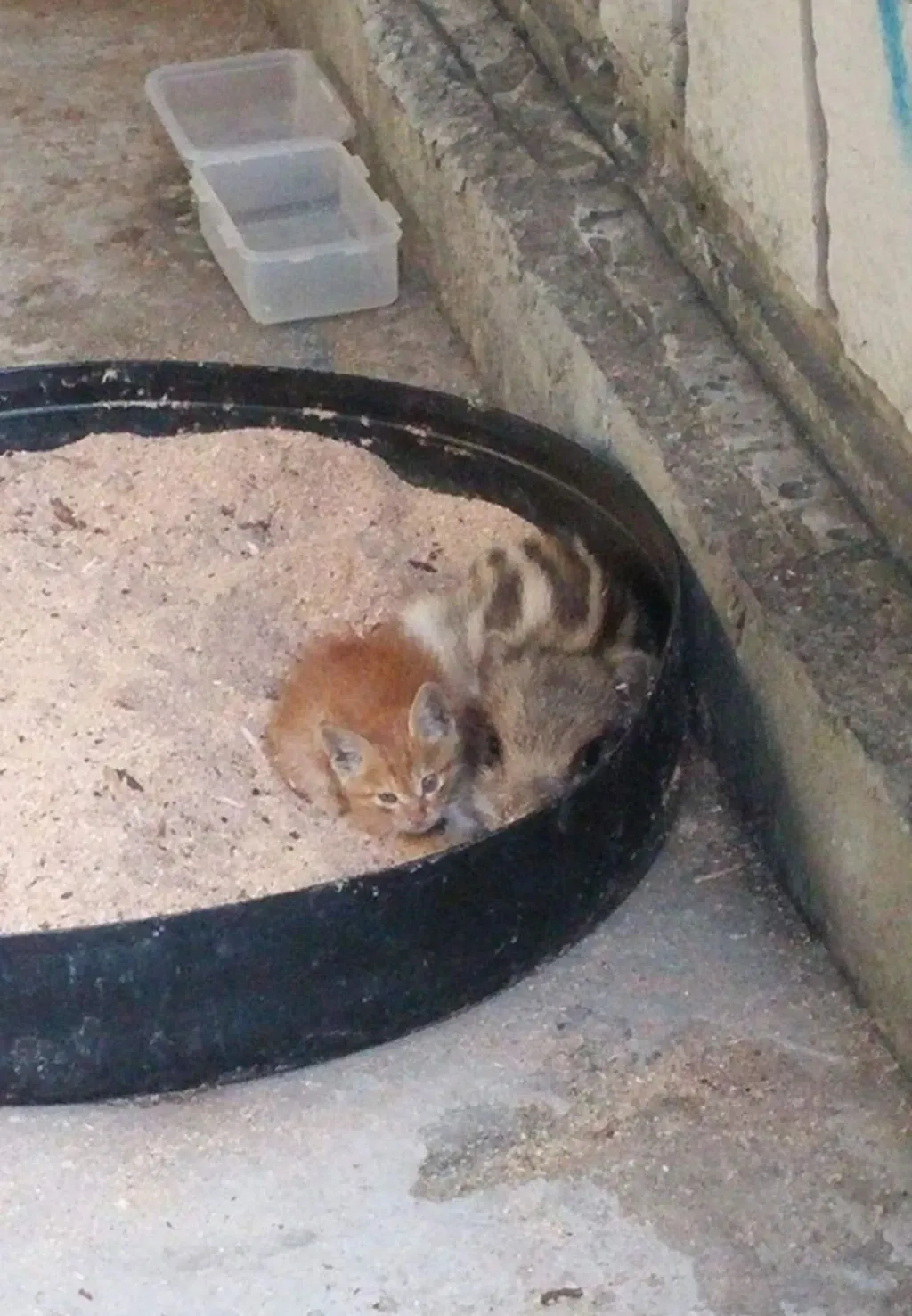 이 이미지를 보려면 파일 경로를 알려줘. Read 도구로 직접 확인할게.