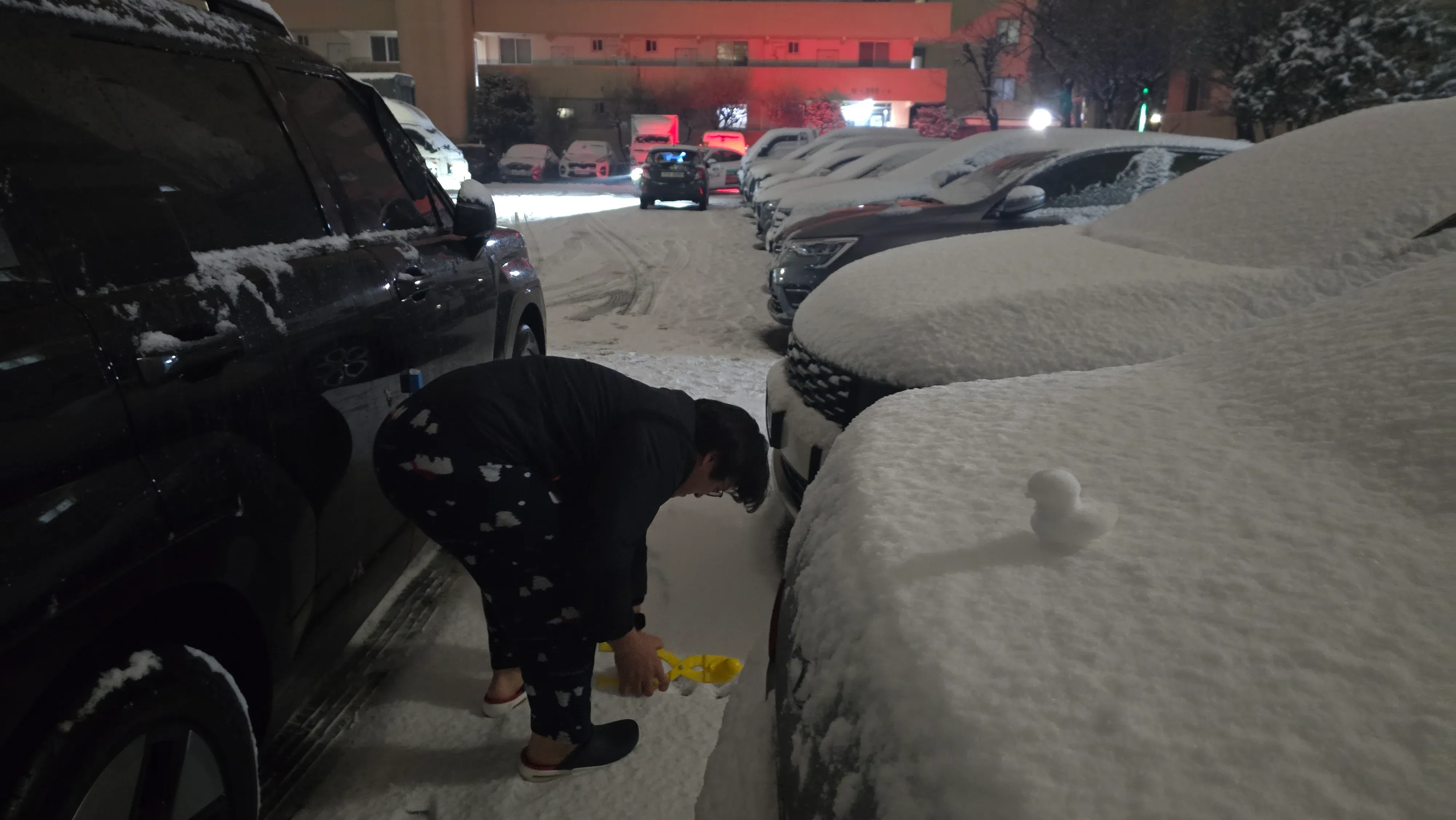 밤에 불꽃놀이를 하며 신나하는 개붕이 캐릭터 일러스트