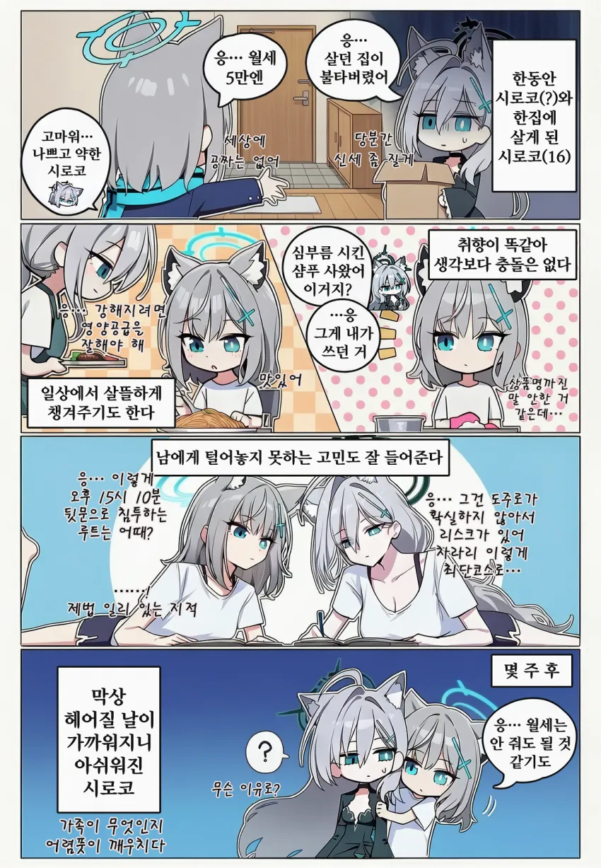 시로코와 나쁜 시로코가 한집에서 동거하며 정들어가는 만화