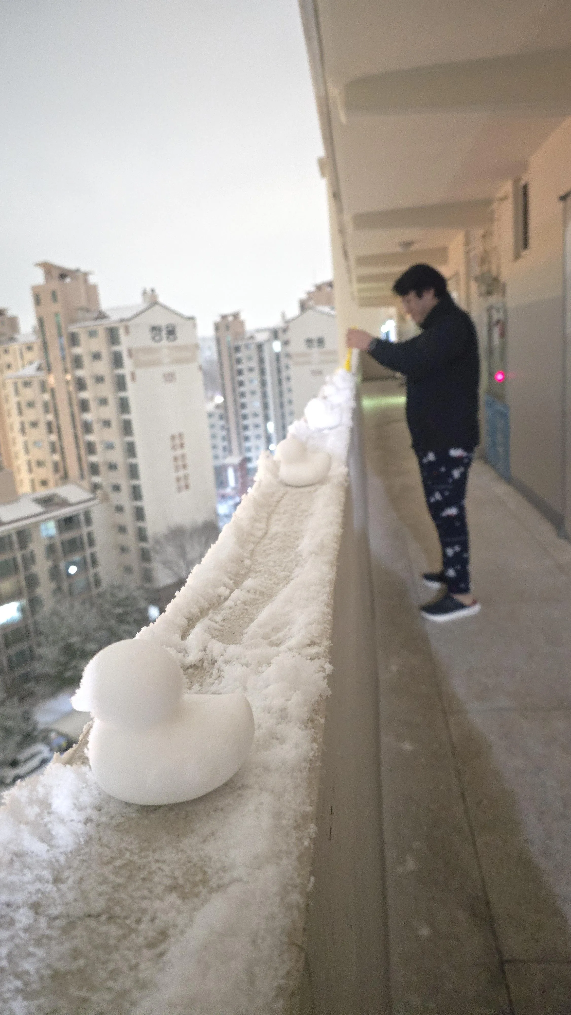 야밤에 불타는 듯한 붉은 조명 아래 흥분한 개구리 캐릭터