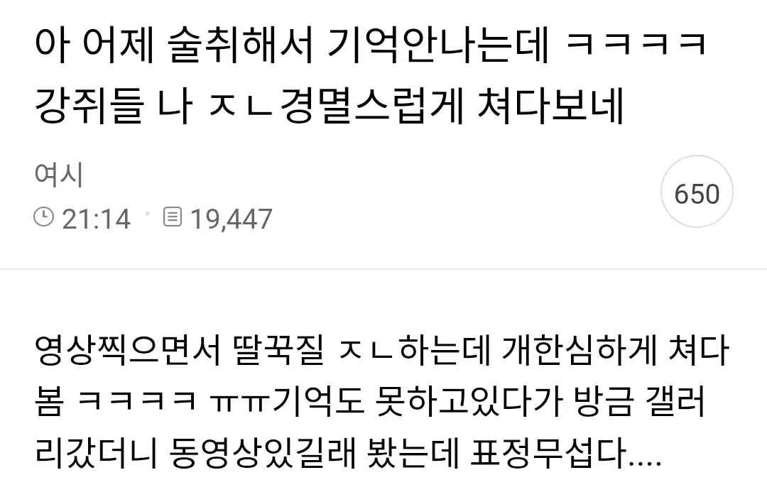 술 취한 주인을 경멸스러운 눈빛으로 쳐다보는 두 마리 강아지