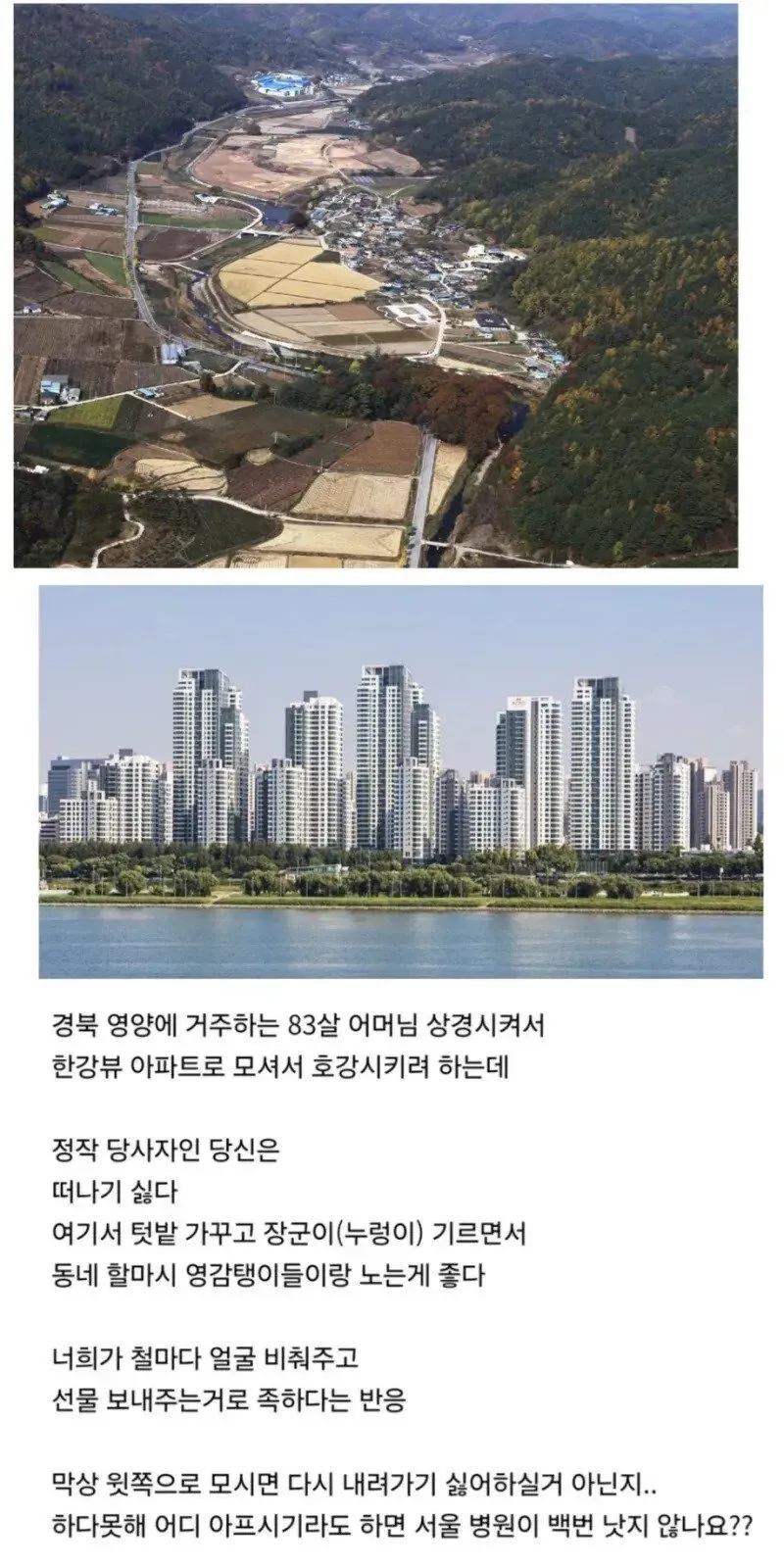 시골 생활이 좋다며 서울행을 거부하는 83세 어머니에 대한 자녀의 고민 글
