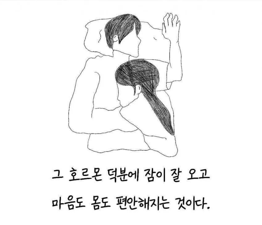 애인을 껴안고 자면 호르몬 분비로 숙면과 안정감을 얻는다는 설명 텍스트