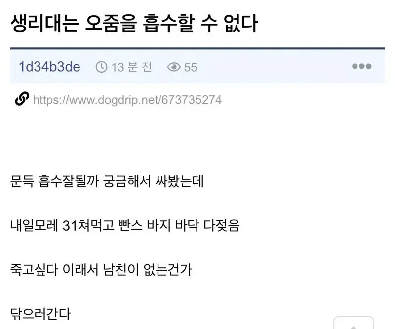 생리대에 소변을 흡수시키는 실험 실패를 묘사한 온라인 게시글 스크린샷