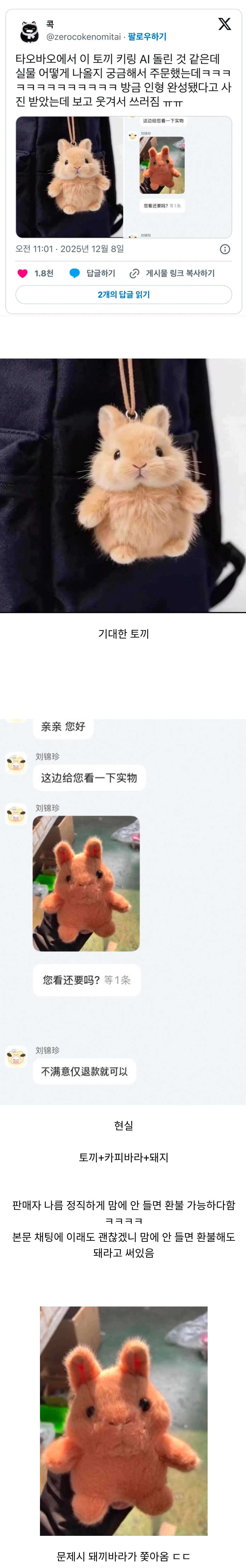 기대한 AI 토끼 키링 이미지와 돼지+카피바라 합성처럼 나온 실물 인형 비교 사진